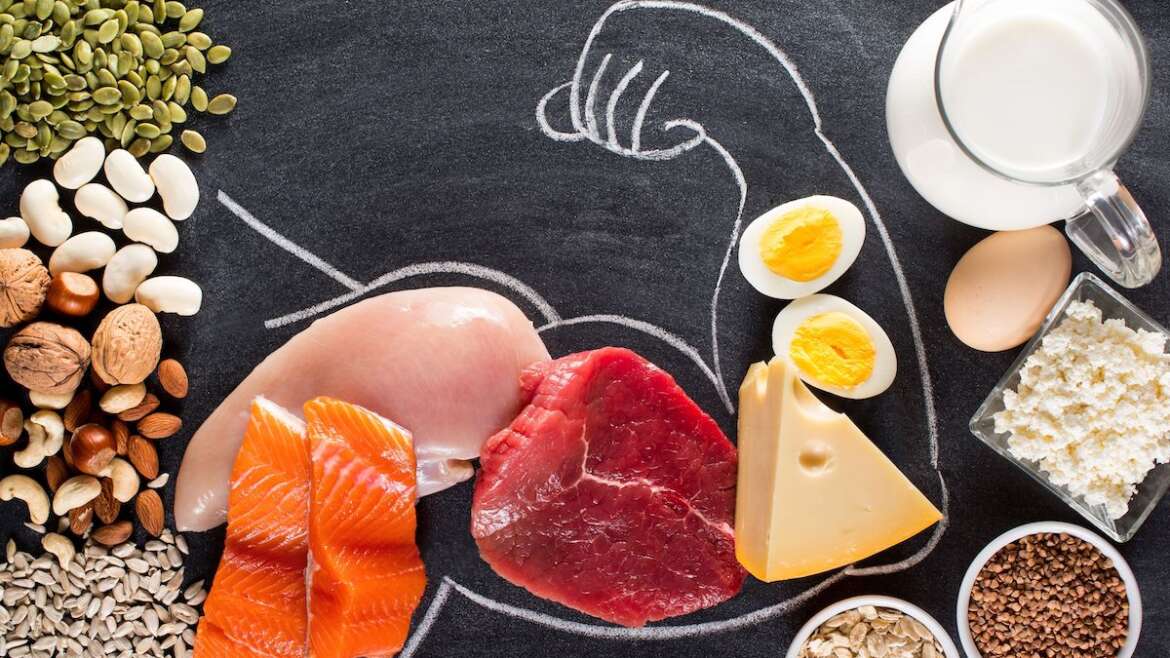 PROTEÍNAS E AMINOÁCIDOS NA SAÚDE MUSCULAR