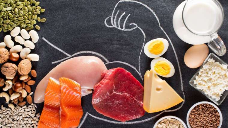 PROTEÍNAS E AMINOÁCIDOS NA SAÚDE MUSCULAR
